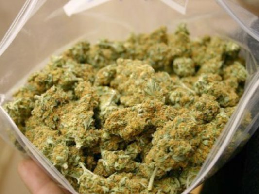 Dealerul de canabis şi ecstasy din Mamaia, trimis în judecată